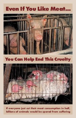 Even If You Like Meat...