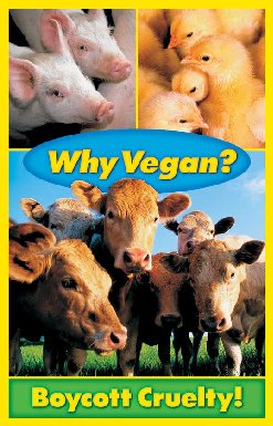 Why Vegan?