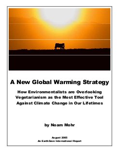 Global Warming Report