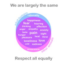 we are the same
